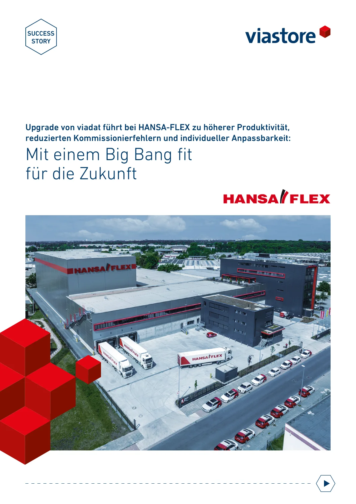 Hansa-Flex Success Story