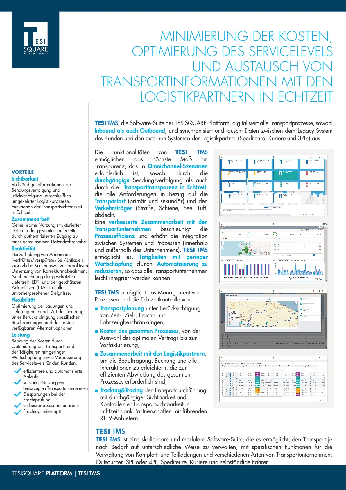 DE 2024 09 TS Datasheet TMS Officialdoc